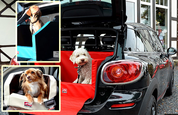 Deutsche-Politik-News.de | Hundebetten und andere Sicherheitsprodukte von Dogstyler bieten  dem Hund im Auto bei Vollbremsungen und Auffahrunfllen mehr  Sicherheit als konventionelle Hundetransportboxen.  